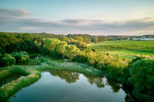 Praesent id varius nisi