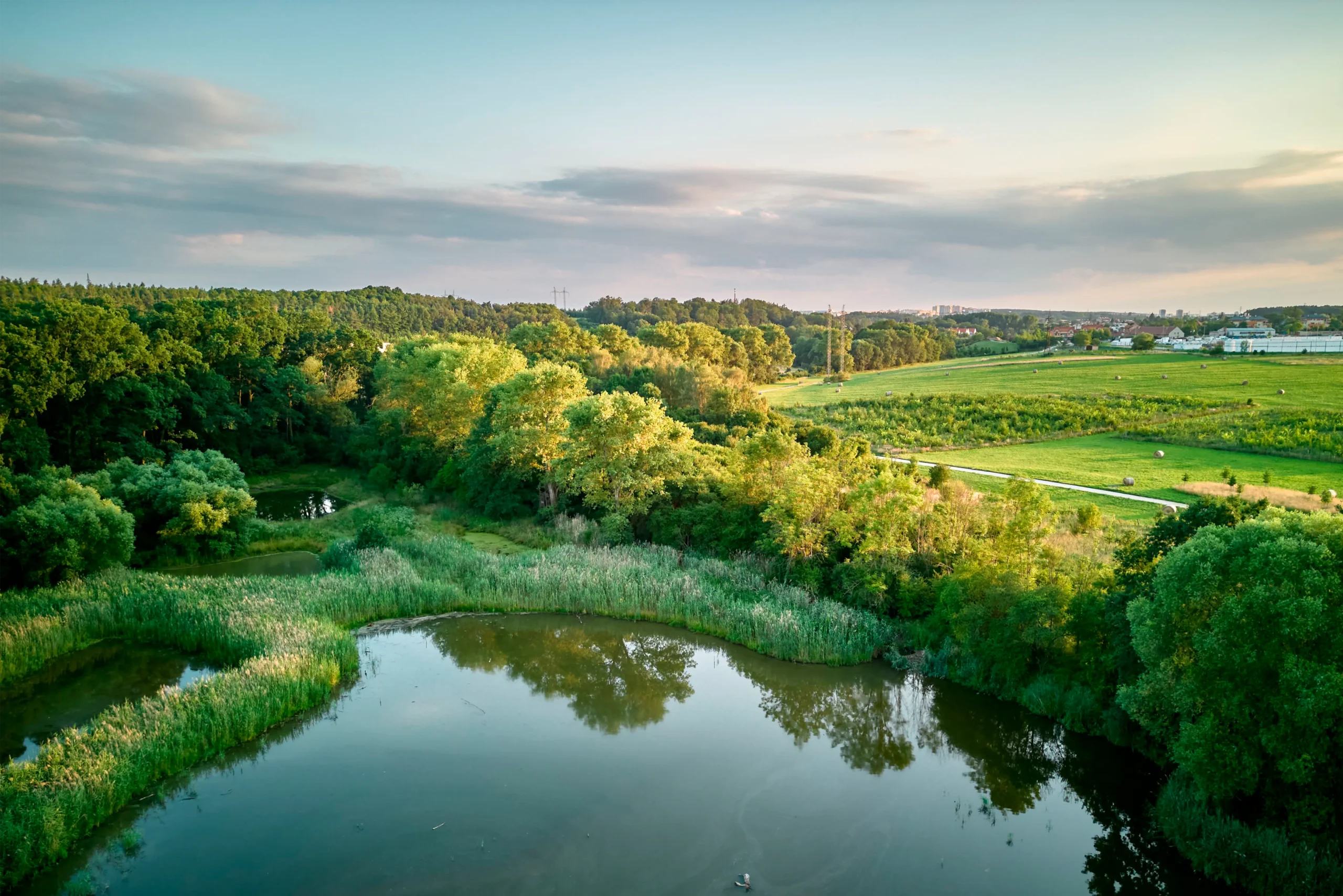 Praesent id varius nisi