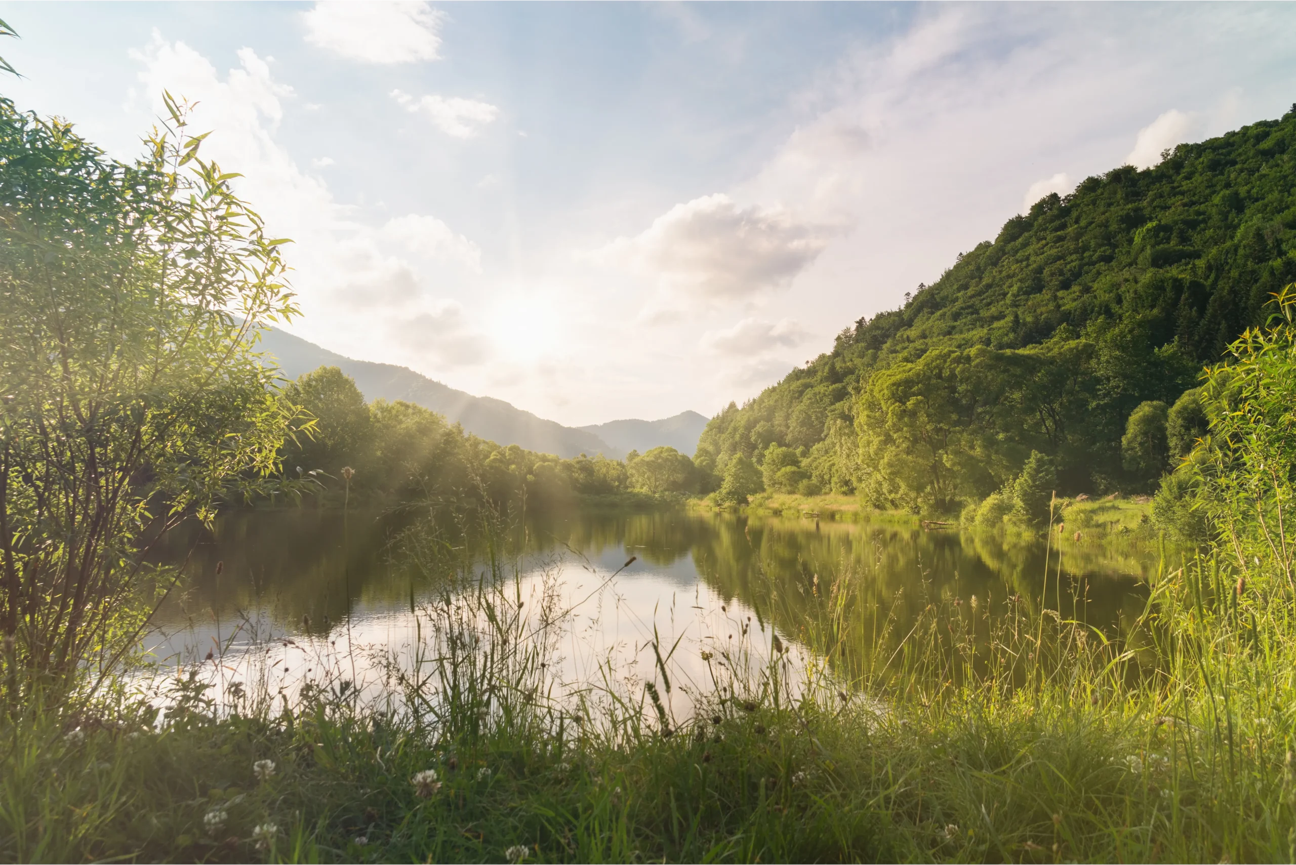 Rutrum tellus at, rutrum dolor